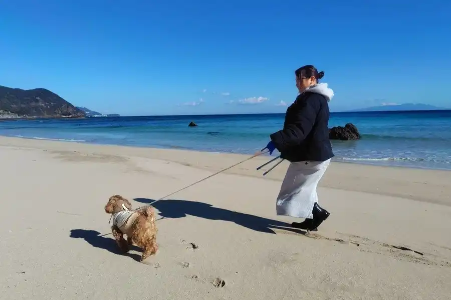 「下田プリンスホテル」春の下田でワンちゃんと歩く「ビーチクリーン朝さんぽ」プランを販売開始