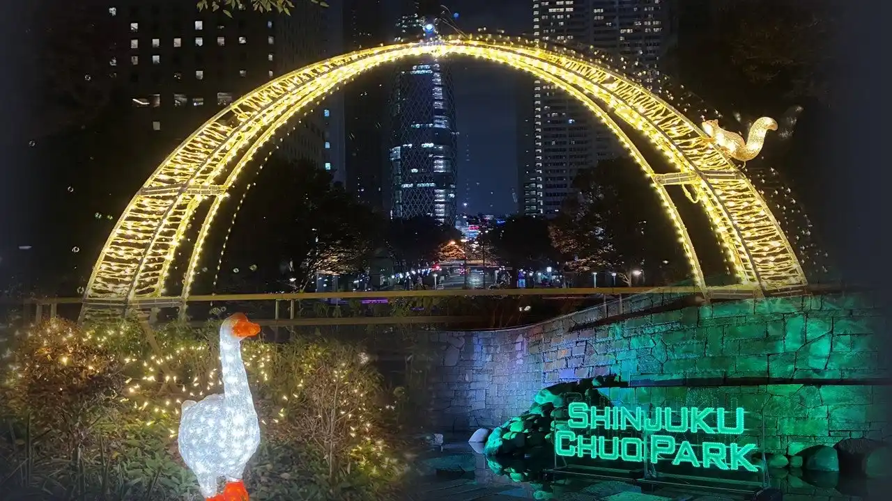 【一般財団法人 公園財団　Parks Japan.F】 新宿中央公園 ビル街と公園のフォトジェニックなイルミネーション「TWINKLE PARK」