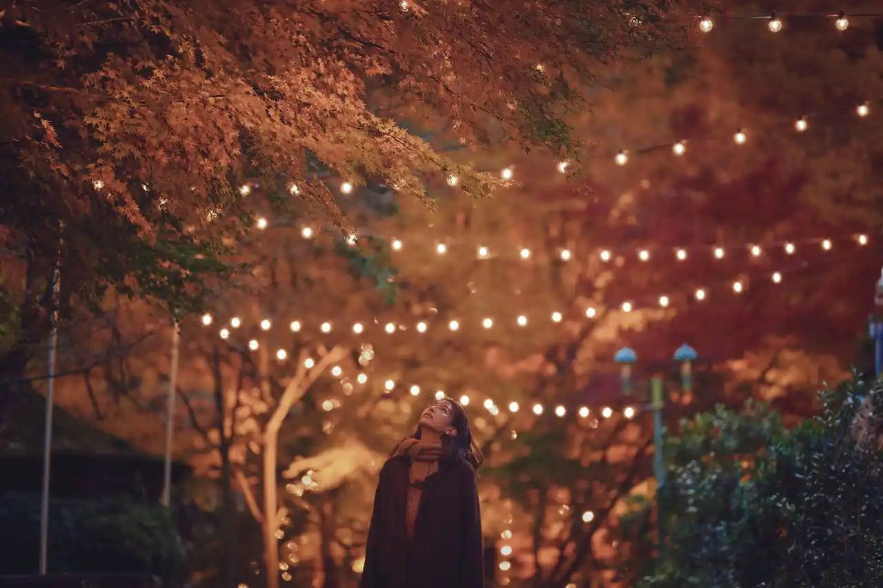 【神戸布引ハーブ園/ロープウェイ】 紅葉ライトアップ×クリスマスイルミネーションが煌めく約150mの「光の回廊」が登場!神戸の紅葉の名所、神戸布引ハーブ園で「紅葉のライトアップ」を大規模開催。その他、紅葉とコスモス畑の絶景空間も登場。