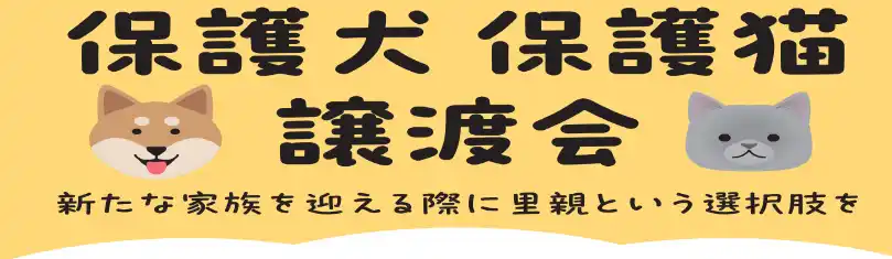 【綿半ホールディングス株式会社】 保護犬・保護猫の譲渡活動が拡大中！2025年７月以降　綿半店舗開催の譲渡会スケジュールが決定！