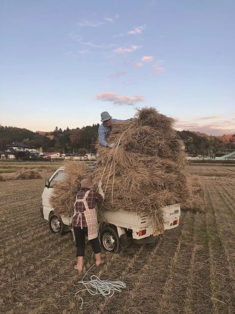 【株式会社アイデム】 アイデムフォトギャラリー［シリウス］小学生・中学生・高校生対象 第20回アイデム写真コンテスト「はたらくすがた」入選作品展 期間：2025年11月27日（木）～12月10日（水）