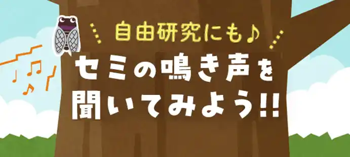 【パルシステム連合会】 夏休み自由研究に　「セミの鳴き声を聞いてみよう」WEBサイト公開