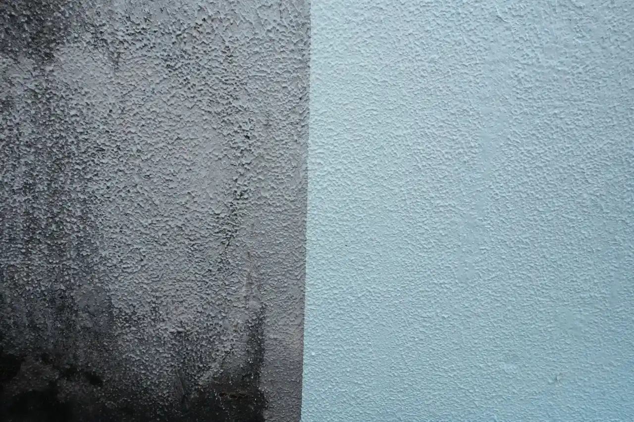 【地域共創】西東京市「保谷第三児童遊園(南)」の擁壁・フェンス塗装を寄付施工