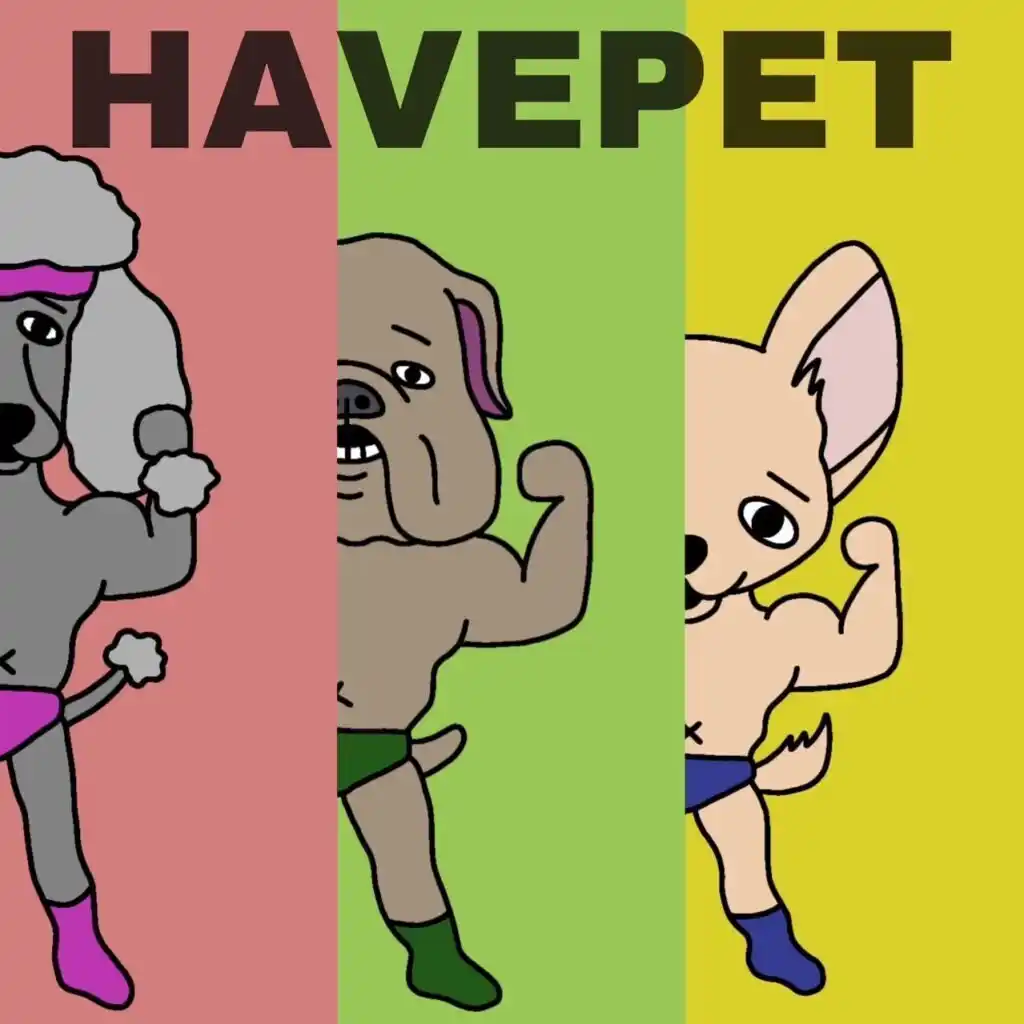 HAVEPET--1024x1024.jpg