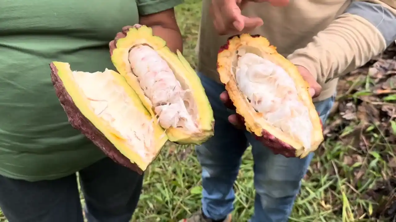 【江崎グリコ株式会社】 「ポッキーチョコレート」「ポッキー極細」が10年ぶりにリニューアル発売　選び抜かれた素材を活かしたおいしさに