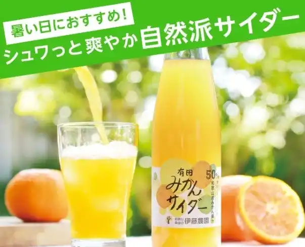 【株式会社高島屋】暑い夏に飲みたい！シュワっと爽やか自然派サイダー特集！ お子様から大人まで楽しめる「個性派のご当地サイダー」「人気のサイダー」に注目