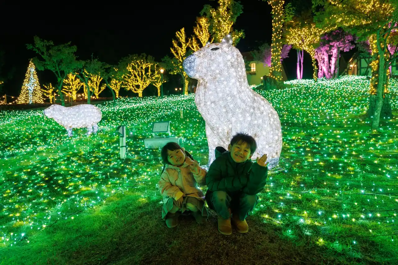 【15,000人突破】約100万球が灯るイルミネーション【ハーベストの丘