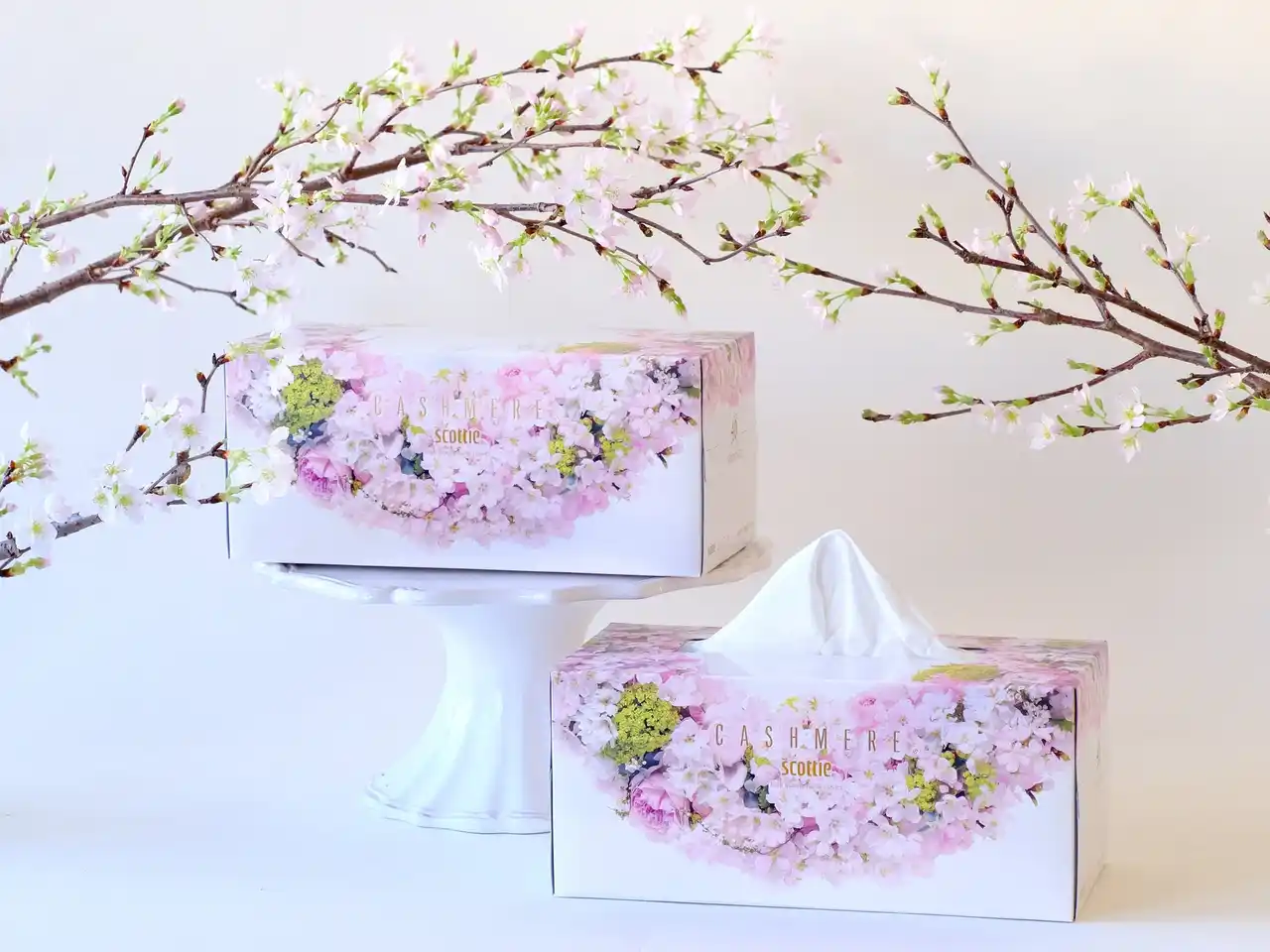 【第一園芸株式会社】 第一園芸が監修『スコッティ カシミヤ サクラ』のティシューに、桜を中心とした花々のリースで彩られた特別パッケージが登場～ひと足早い春の訪れを暮らしに～