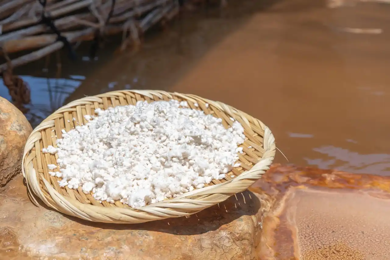 発酵と温泉の力で夏バテ予防！　おふろcafe 白寿の湯で、発酵食文化にふれる「発酵week」を開催