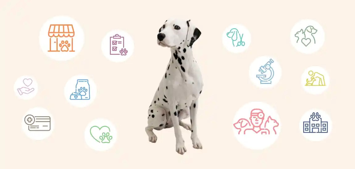 【ペッツファーストホールディングス株式会社】 ペッツファースト 当社における獣医師・動物看護師の役割について