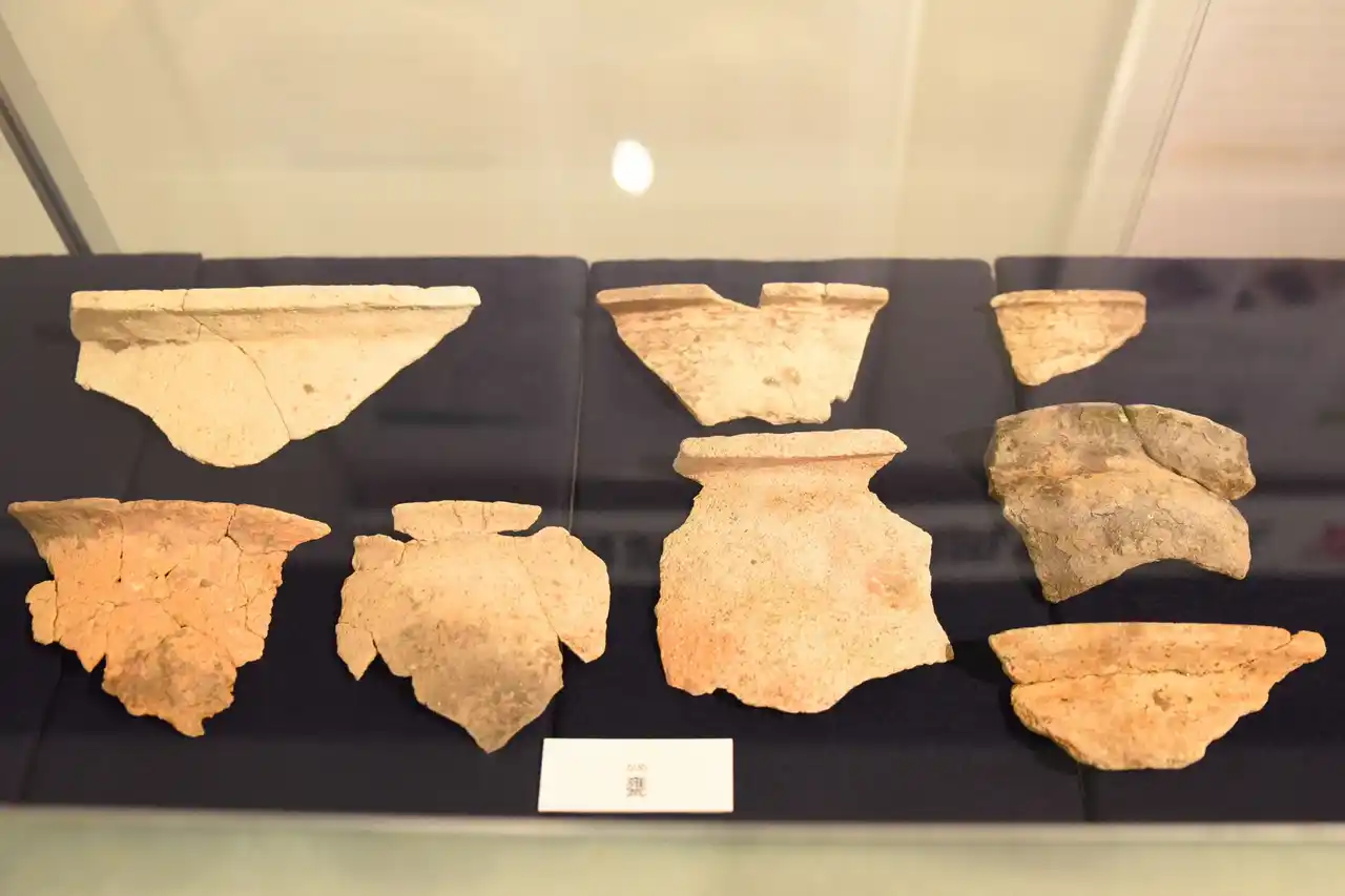 加茂遺跡 発掘調査成果速報展を開催 / 兵庫県川西市