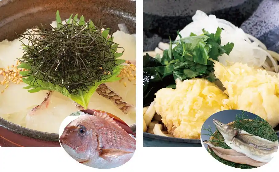 【ユーアールエー株式会社】 淡路ハイウェイオアシスのメインダイニング、お食事処「みけ家」から淡路島産食材を使った新メニュー「淡路島産鱧天冷しうどん」、「淡路島産鯛めし丼」が登場！！