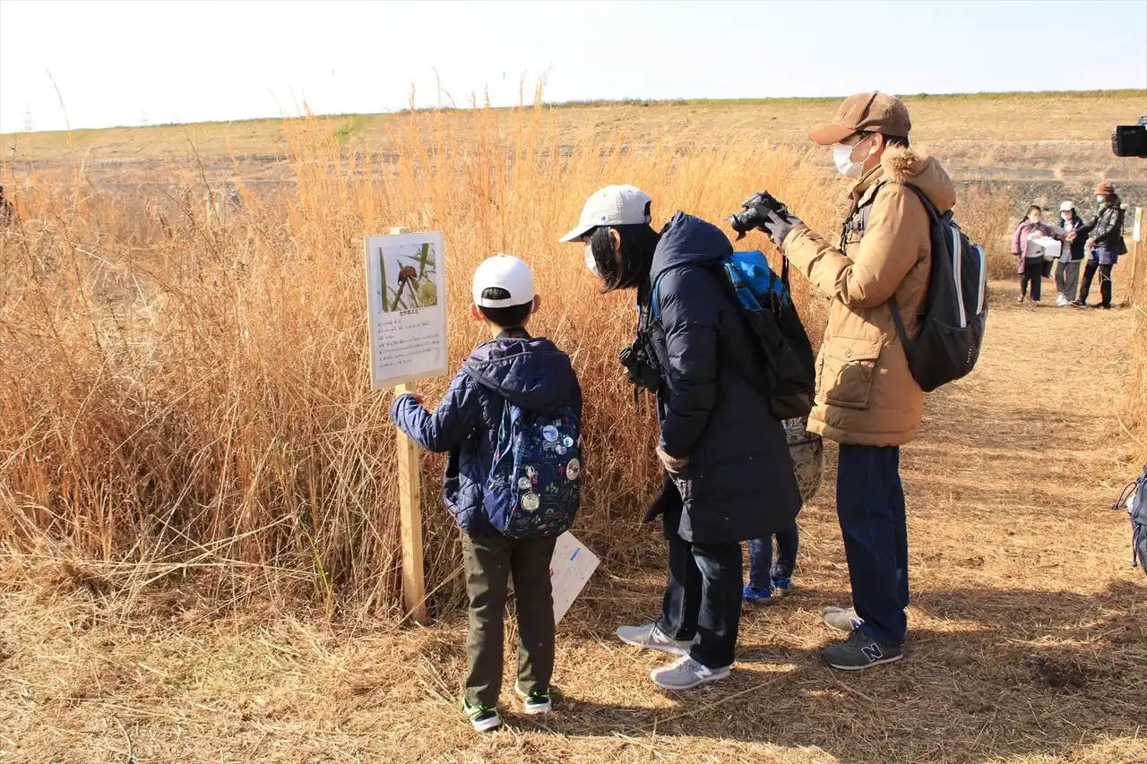 公園に巨大野草迷路が出現!?(淀川河川公園)