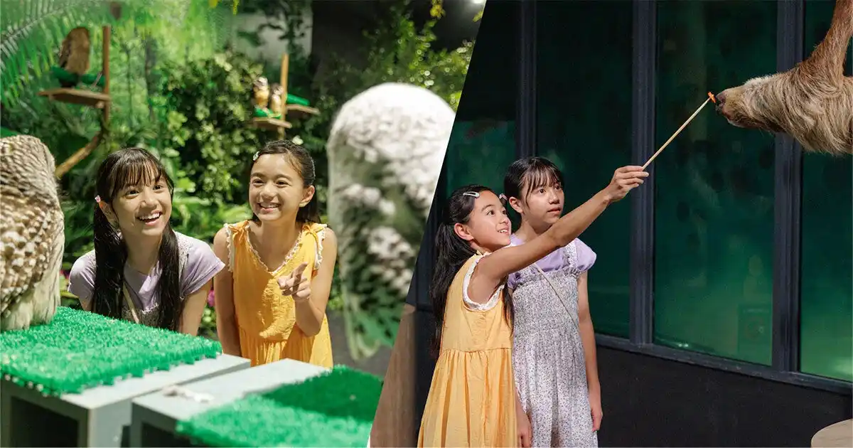 【合同会社DMM.com】 【DMMかりゆし水族館】沖縄尚学高等学校、夏の甲子園優勝おめでとう！感動をありがとう！沖縄県民限定、半額入館チケット販売期間延長を決定