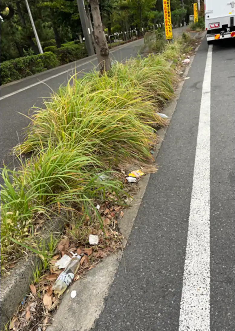 【ソーシャルアクションネットワーク】 どうして？どのように？ごみのポイ捨ては行われている？「千葉県内幹線道路におけるごみのポイ捨て調査」を実施しました！