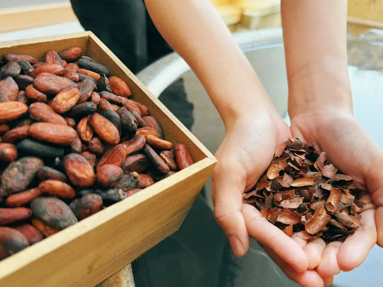 【箱根小涌園ユネッサン】カカオをムダなく楽しむサステナブルな入浴体験！SDGｓな変わり湯「カカオハスクの湯」