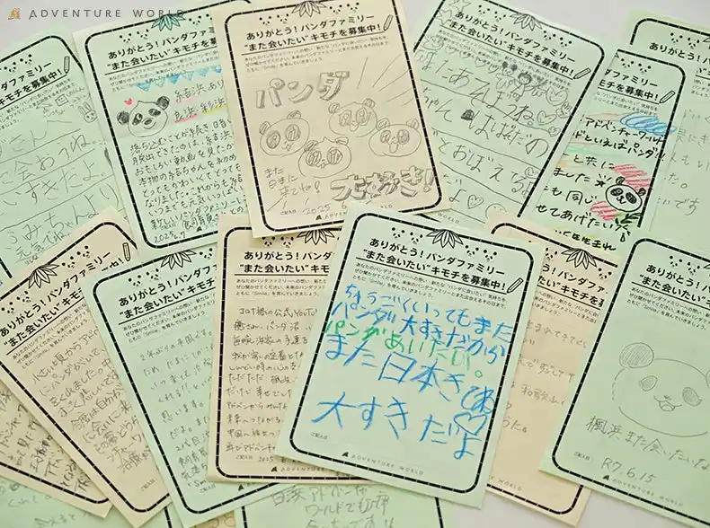 【アドベンチャーワールド】 ありがとう！パンダファミリー　“また会いたい”キモチ １９，６１７通が集まりました！たくさんの想いを寄せていただきありがとうございました