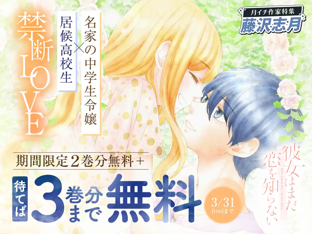 260203_3月藤沢志月_彼女はまだ恋を知らない_バナー (1).png