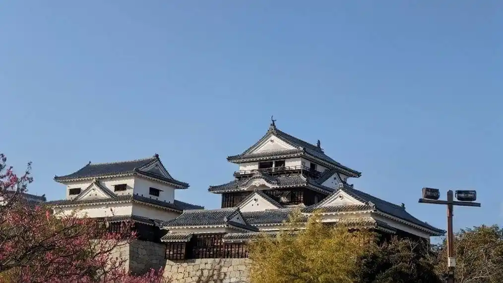 【株式会社アート不動産】 第63回愛媛マラソンにて2年連続でアート不動産　公式記録入りデジタル完走証の発行を支援