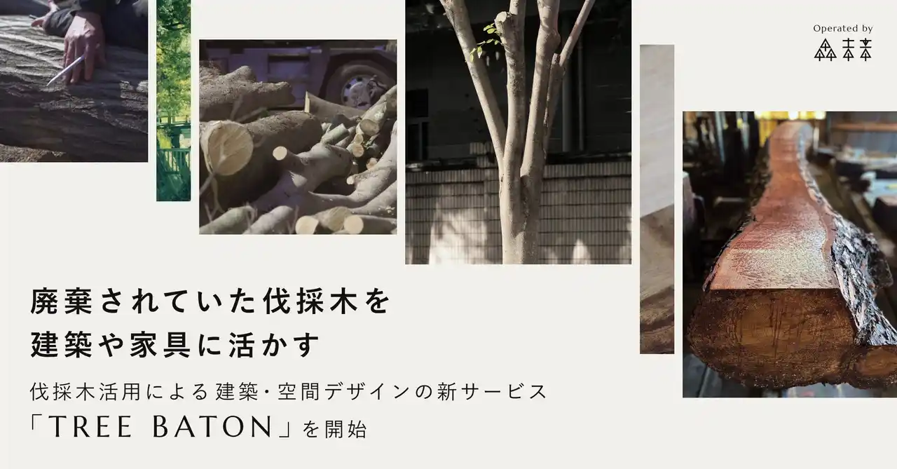 廃棄されていた伐採木を、建築や家具に活かす