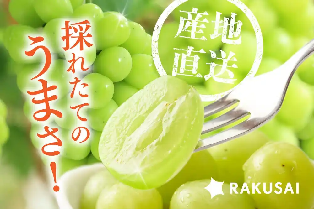 長野県産「至高のシャインマスカット」を産地直送で販売開始～専門店も認める感動の味をご家庭で～