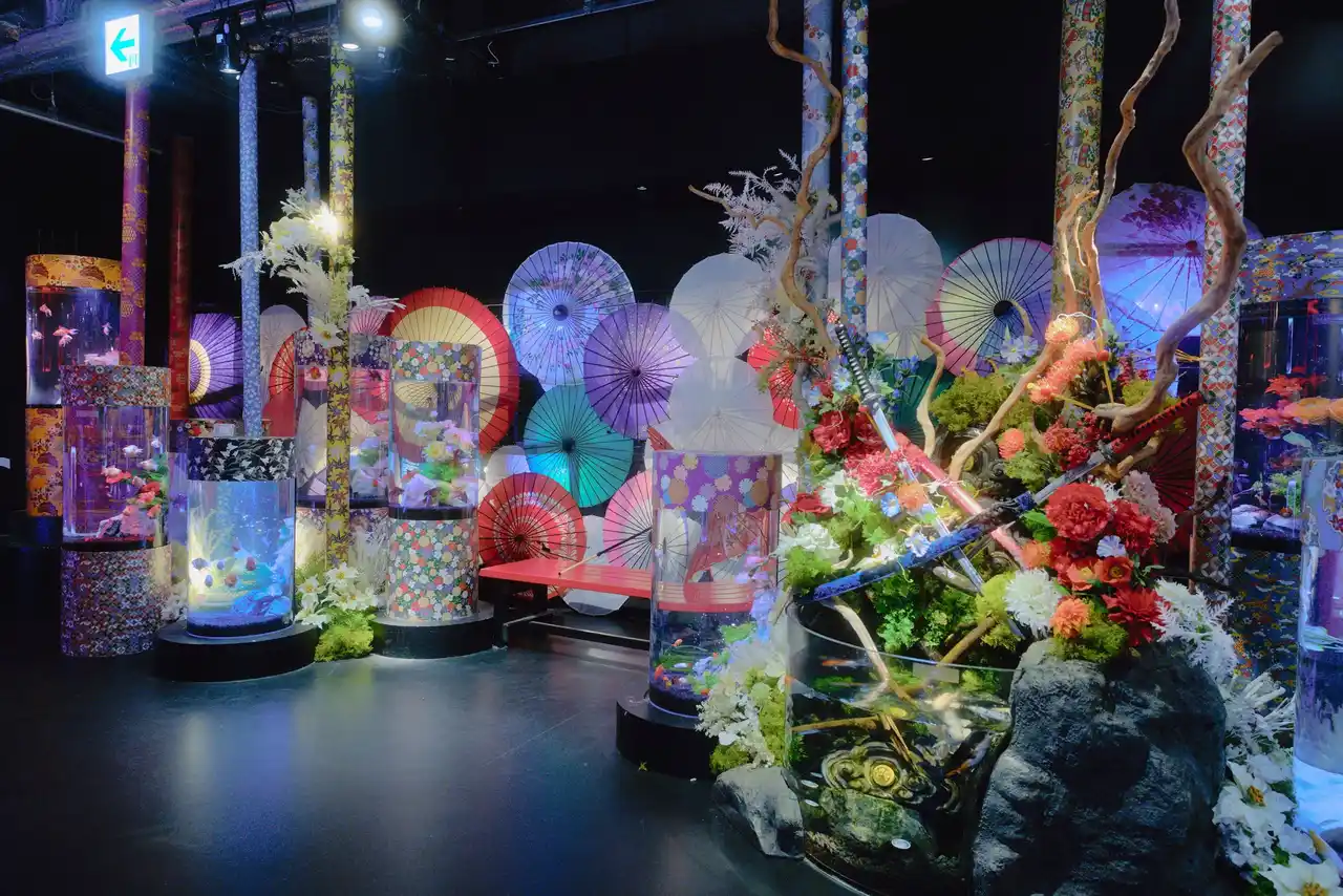 【お台場アク和リウム】白と青の光に包まれる、冬季限定イルミネーション展示「冬銀河」開催！入口からメイン水槽まで、雪と氷柱と星屑のような光で館内全体を冬の銀河空間に