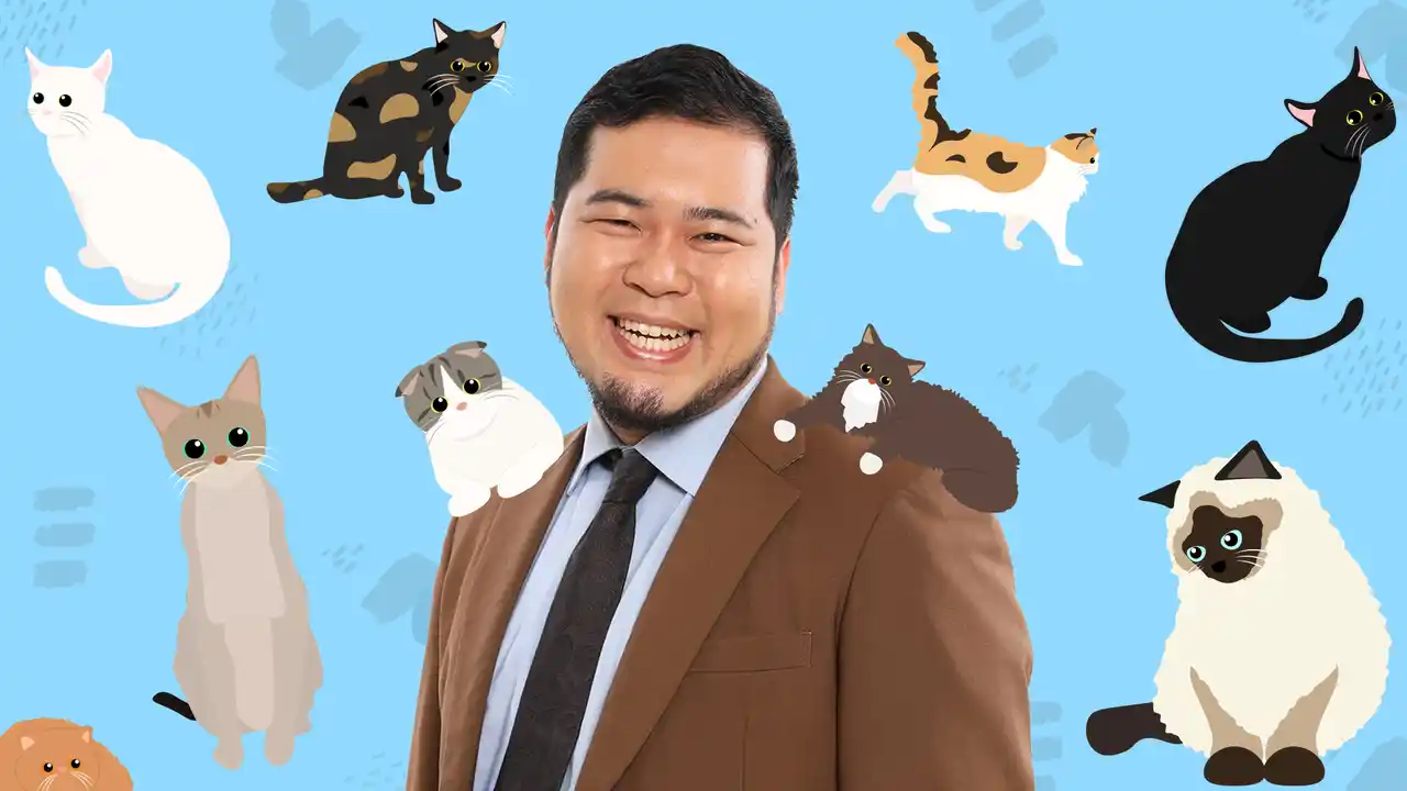 【株式会社WOWOW】 「猫×お笑い」夢のスペシャル配信　第2弾！令和ロマン・松井ケムリが猫だけのライブ配信アプリ「nekochan」で獣医師と一緒にスペシャル生配信！