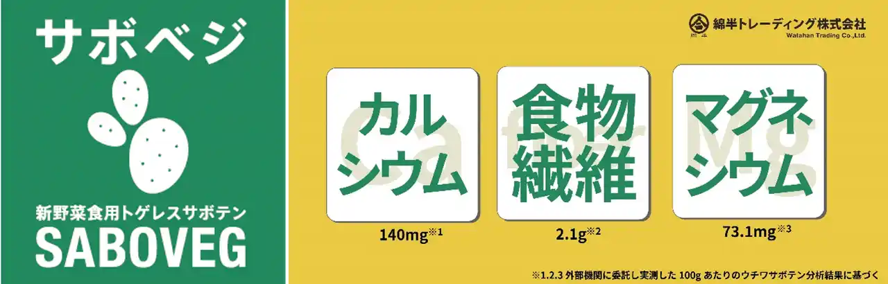 【綿半ホールディングス株式会社】 世界が注目の“スーパーフード”！綿半が食用棘レスサボテンのブランド「SABOVEG」（サボべジ）を展開