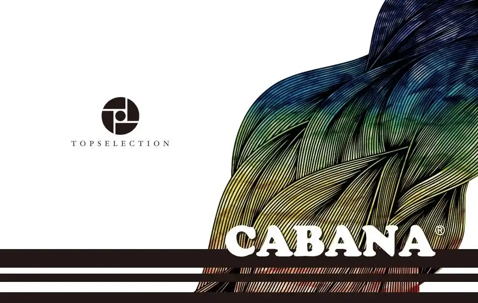 【株式会社トップセレクション】 カーシートカバーのCABANA、東京オートサロン2026 にカスタマイズMINI/ジムニーノマド、シリコーン合成皮革アイテムを出展