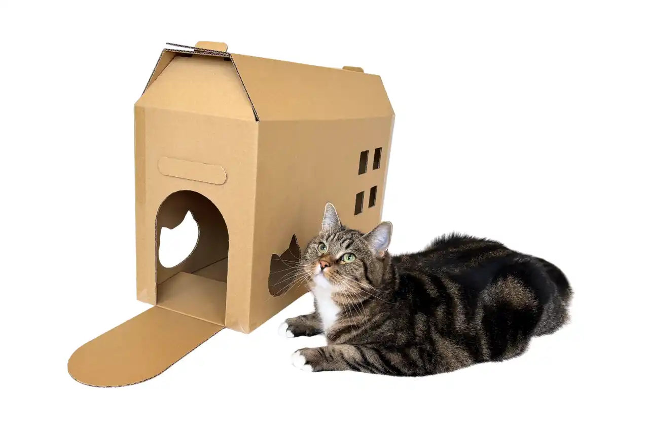 【猫の「箱好き」に着目】捨てちゃう梱包箱が猫のおうちに大変身する『あそBOXオプション』、猫の爪とぎ専門店・カリカリーナに8月1日新登場