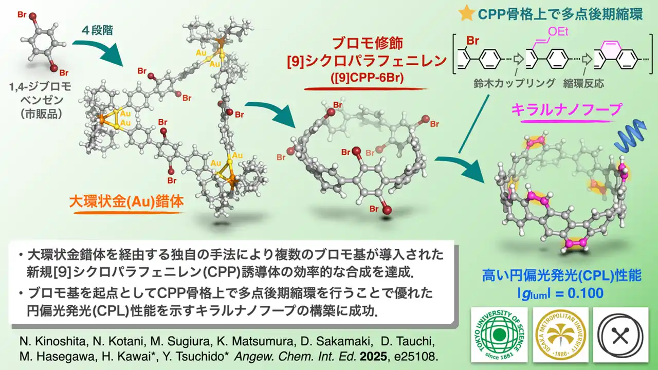 【東京理科大学】 金錯体を用いた精密合成により高い円偏光発光を示すキラルナノフープの創製に成功 ～環状π共役分子の後期修飾を可能にする新しい分子設計基盤～