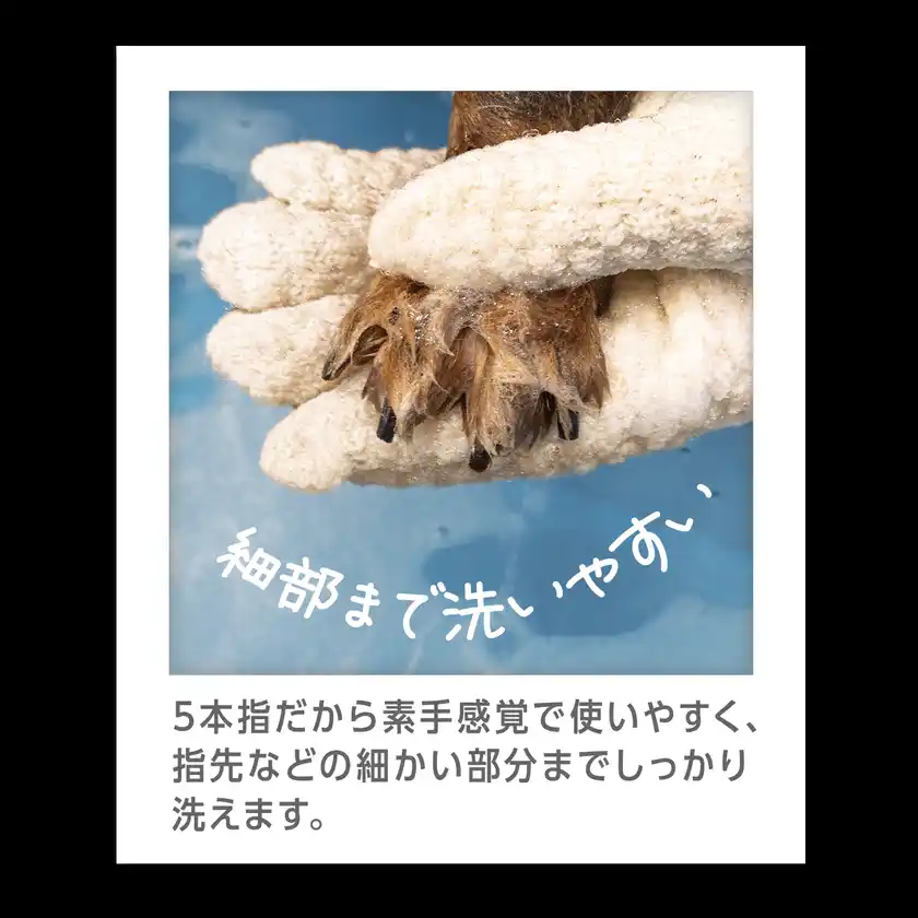 細部まで洗いやすい