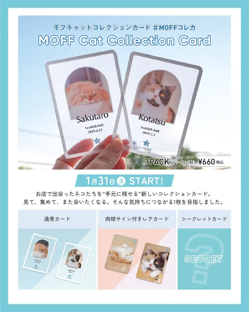 【株式会社MOFF】 好評につき販売店舗拡大！『MOFF Cat Collection Card』1月31日（土）より新たに7店舗で展開