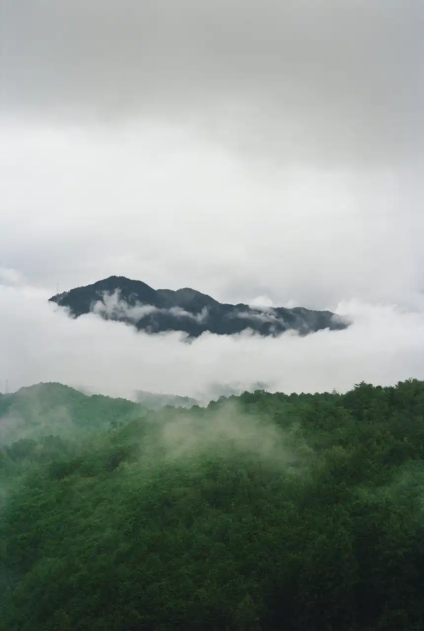 【space Un合同会社】 Henry Roy DEVOTION