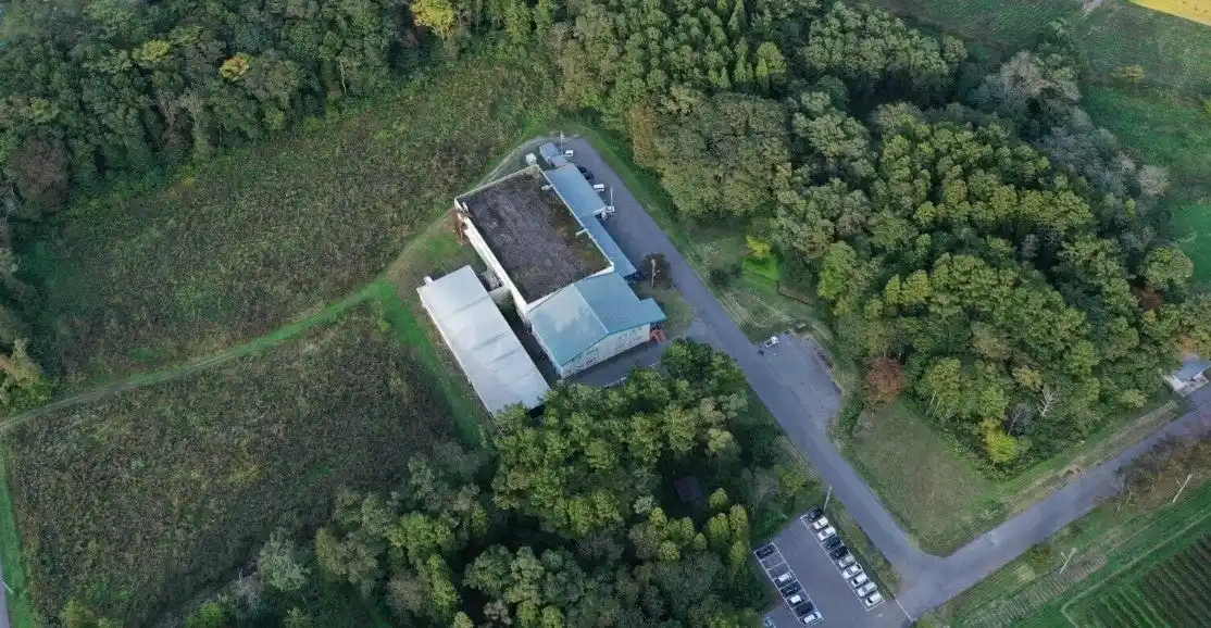 【株式会社サンクゼール】 ～パートナーの手で守る森の多様性～サンクゼールの森で「アレチウリ退治」を実施！