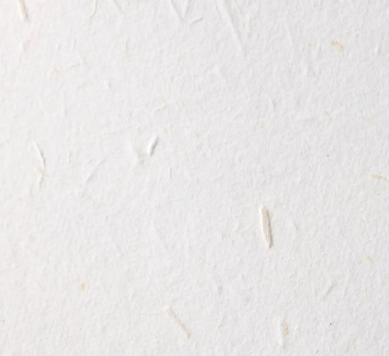 【高速オフセット】 廃棄花が地域資源に。高速オフセット、大阪・吹田市発の「フラワーペーパー」を取扱いスタート