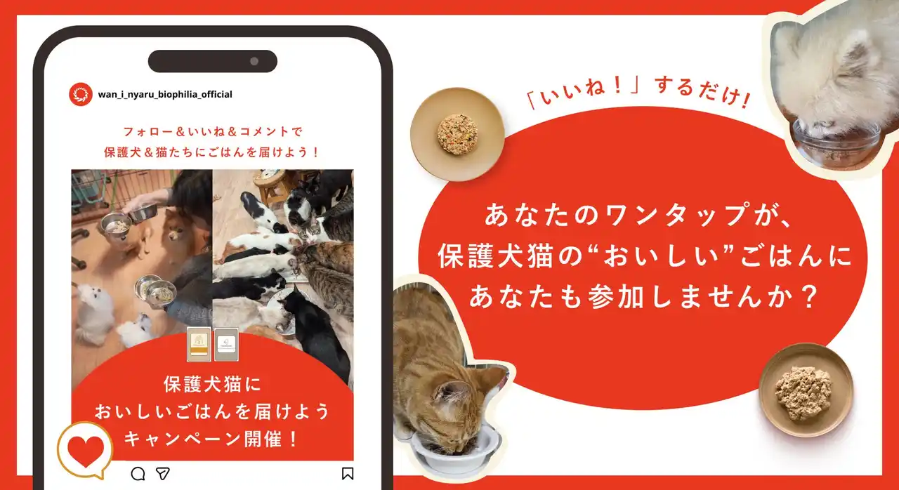 「いいね！」するだけ。あなたのワンタップが、保護犬猫の“おいしい”ごはんに。“誰でも参加できる”寄付企画が11月13日（木）から開始。
