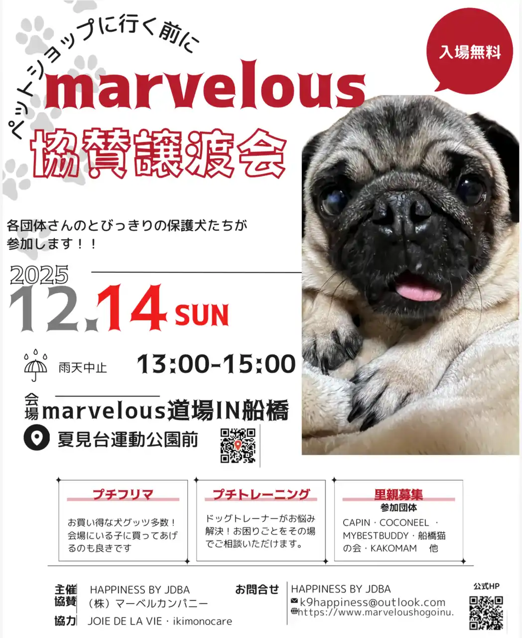 【認定NPO法人CAPIN】 12月14日「marvelous協賛譲渡会」にCAPINも参加