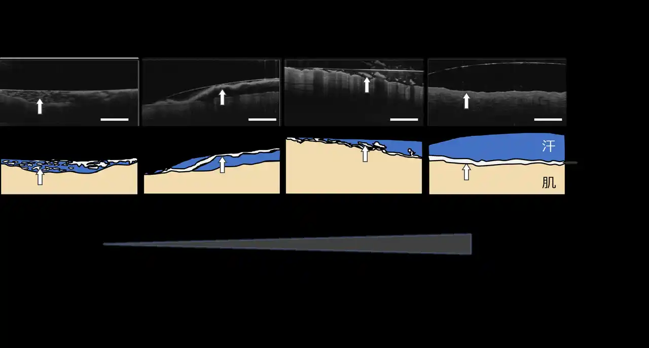 【ポーラ・オルビスHD】 汗で刻々と変わる日焼け止め膜、剥がれ方は４タイプと判明