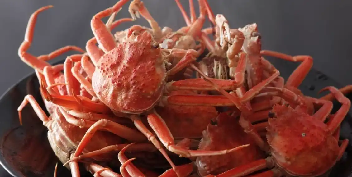 【株式会社丹友商事】 【期間限定】お一人様のご利用もＯＫ！「割烹たんご」で堪能する オス活蟹と希少なメスのセコガニを味わう夫婦蟹コース 2025年度受付を開始