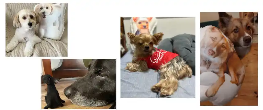 『手紙コンテスト』受賞者の喜びの声を一挙公開