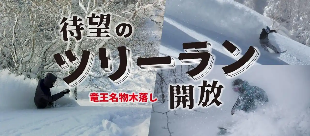 【日本スキー場開発株式会社】 最大斜度36度、最長1,400mの非圧雪！長野県 竜王スキーパークにツリーランエリアが誕生！