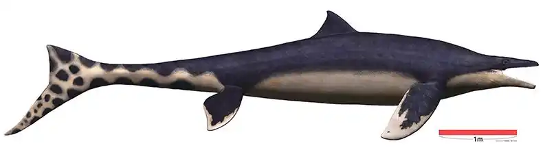 【アドベンチャーワールド】 ワカヤマソウリュウロボットプロジェクト「よみがえる古代のいのち ワカヤマソウリュウ企画展」開催中！アドベンチャーワールドのスタッフが制作に関わったワカヤマソウリュウが泳ぐ姿を再現したロボットをお披露目