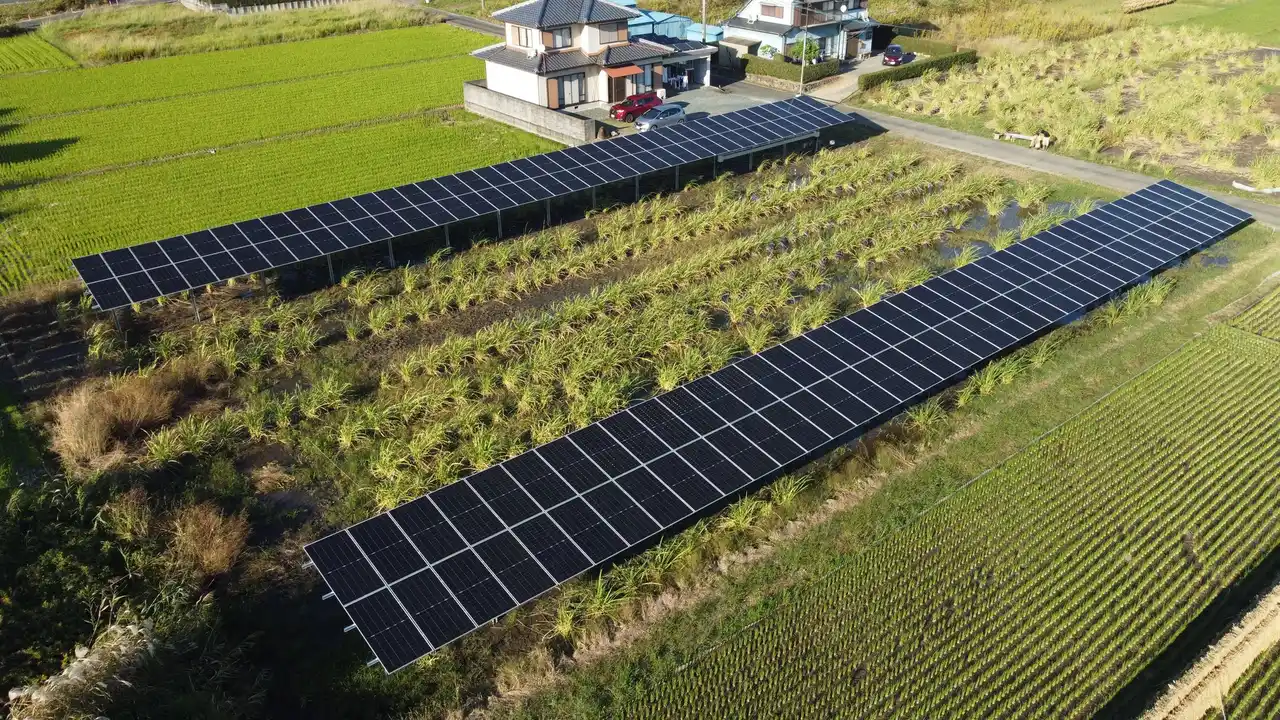 ソーラーシェアリングのスマートブルー、ヤンマーホールディングスから営農型太陽光発電建設工事を受注