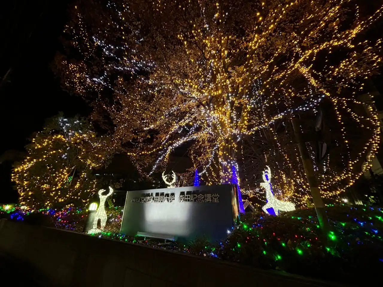 【京都外国語大学】電動車両(EV・PHEV)の電力でキャンパスを彩る！環境に優しい冬の祭典「KUFS Plug in illumination」を12月17日(水)より開催