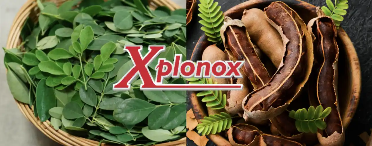 【株式会社アルファメイル】 mTOR 86％増加の最新ワークアウト素材「エクスプローノックス」日本初採用