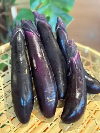 【アコー】 蘭越町の脱サラ夫婦など7人で結成された農家グループ「Hokkaido Agriculture Club頂」が育てた規格外野菜を朝食ブッフェで提供開始