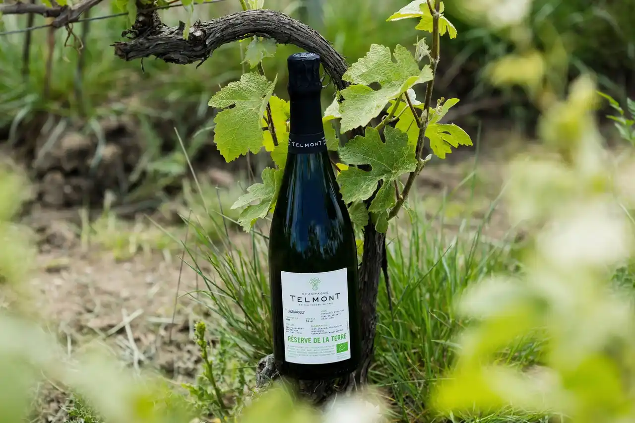 【レミー コアントロー ジャパン】 サステナブルなアプローチでシャンパーニュの新時代を切り拓くテルモン有機栽培の葡萄のみを使用した「レゼルヴ・ド・ラ・テール（オーガニック）」、2021年ヴィンテージを使用した商品をリリース