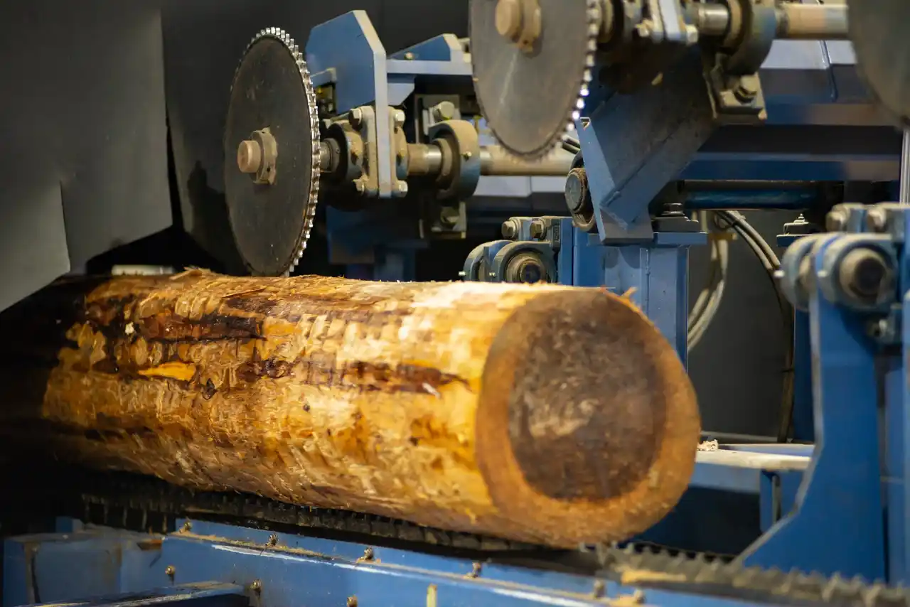 【タカカツグループ】 タカカツグループ、林野庁『森の国・木の街』づくり宣言に参画