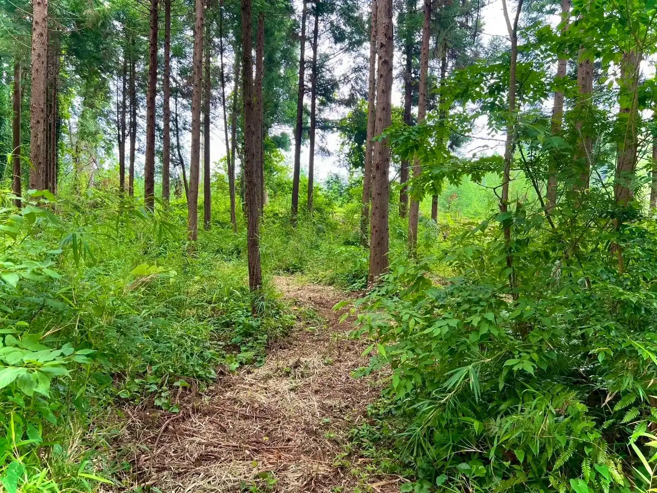 ついに誕生！待ち望まれたあのエリアが再び動き出す。【forenta-CHIBA】富田キャンプエリア新区画！